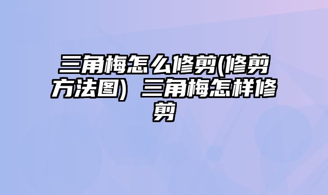 三角梅怎么修剪(修剪方法图) 三角梅怎样修剪