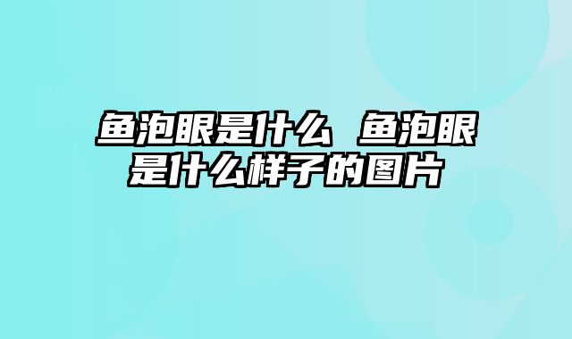 鱼泡眼是什么 鱼泡眼是什么样子的图片