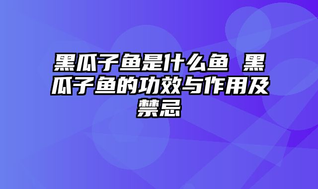 黑瓜子鱼是什么鱼 黑瓜子鱼的功效与作用及禁忌