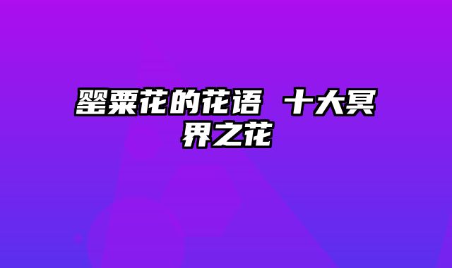 罂粟花的花语 十大冥界之花