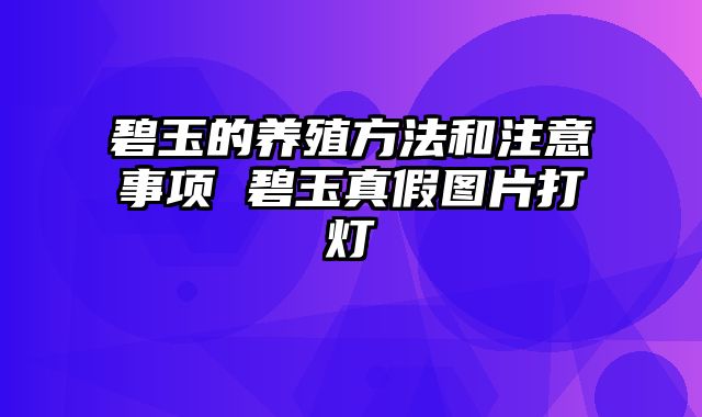 碧玉的养殖方法和注意事项 碧玉真假图片打灯