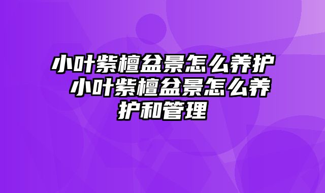 小叶紫檀盆景怎么养护 小叶紫檀盆景怎么养护和管理