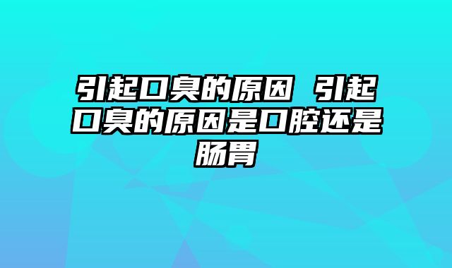 引起口臭的原因 引起口臭的原因是口腔还是肠胃