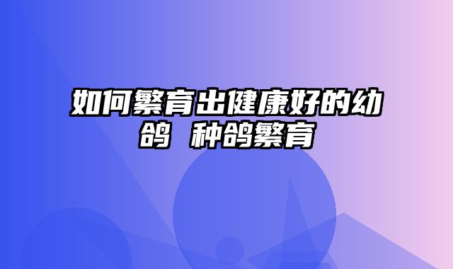如何繁育出健康好的幼鸽 种鸽繁育
