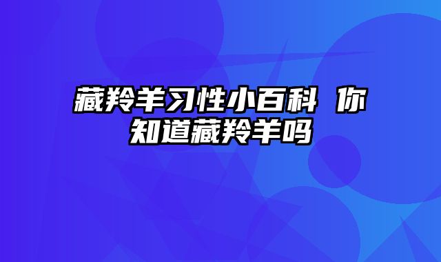 藏羚羊习性小百科 你知道藏羚羊吗