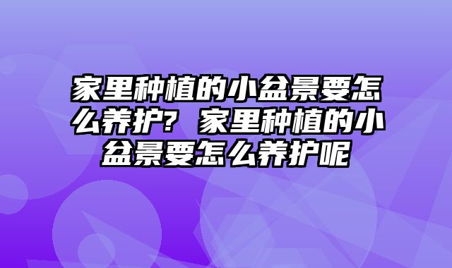 家里种植的小盆景要怎么养护? 家里种植的小盆景要怎么养护呢
