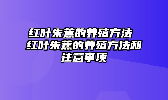 红叶朱蕉的养殖方法 红叶朱蕉的养殖方法和注意事项