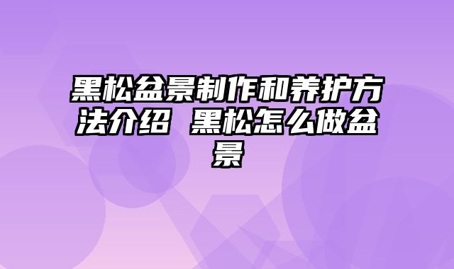 黑松盆景制作和养护方法介绍 黑松怎么做盆景