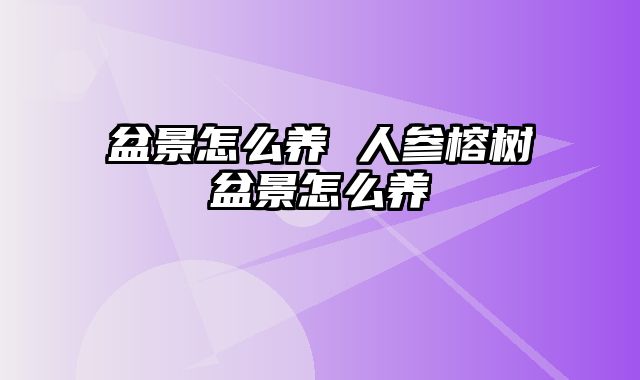 盆景怎么养 人参榕树盆景怎么养