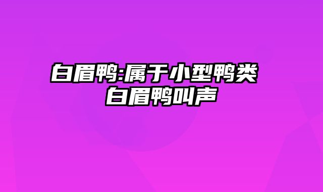 白眉鸭:属于小型鸭类 白眉鸭叫声