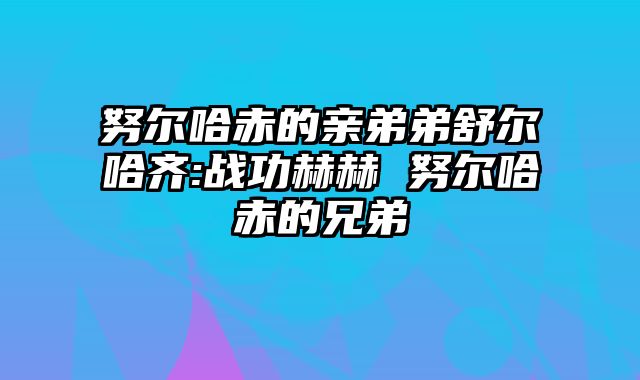 努尔哈赤的亲弟弟舒尔哈齐:战功赫赫 努尔哈赤的兄弟