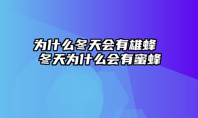 为什么冬天会有雄蜂 冬天为什么会有蜜蜂