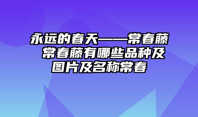 永远的春天——常春藤 常春藤有哪些品种及图片及名称常春