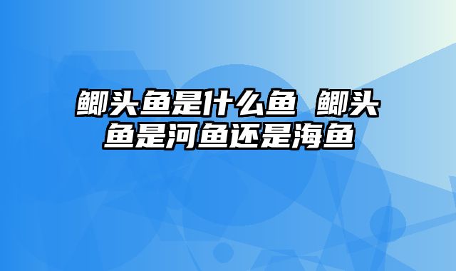 鲫头鱼是什么鱼 鲫头鱼是河鱼还是海鱼