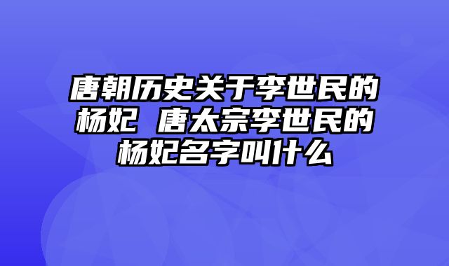 唐朝历史关于李世民的杨妃 唐太宗李世民的杨妃名字叫什么