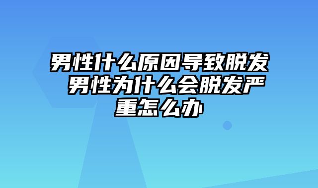 男性什么原因导致脱发 男性为什么会脱发严重怎么办