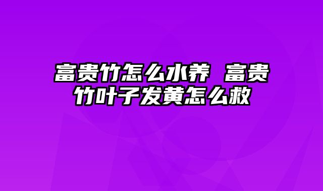 富贵竹怎么水养 富贵竹叶子发黄怎么救