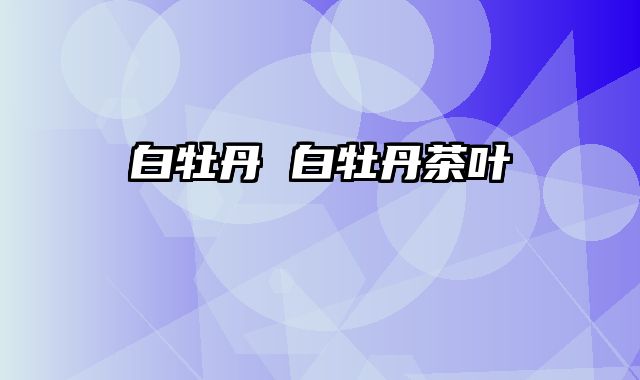 白牡丹 白牡丹茶叶