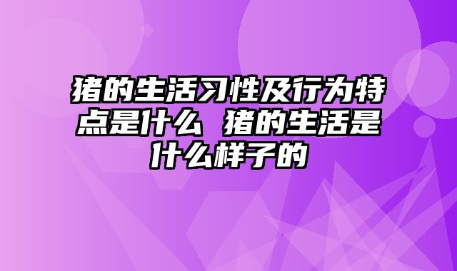 猪的生活习性及行为特点是什么 猪的生活是什么样子的