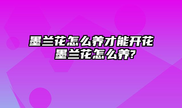 墨兰花怎么养才能开花 墨兰花怎么养?