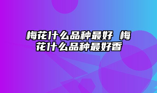 梅花什么品种最好 梅花什么品种最好香
