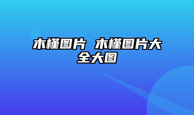 木槿图片 木槿图片大全大图