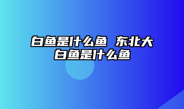 白鱼是什么鱼 东北大白鱼是什么鱼