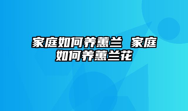 家庭如何养蕙兰 家庭如何养蕙兰花