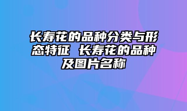长寿花的品种分类与形态特征 长寿花的品种及图片名称
