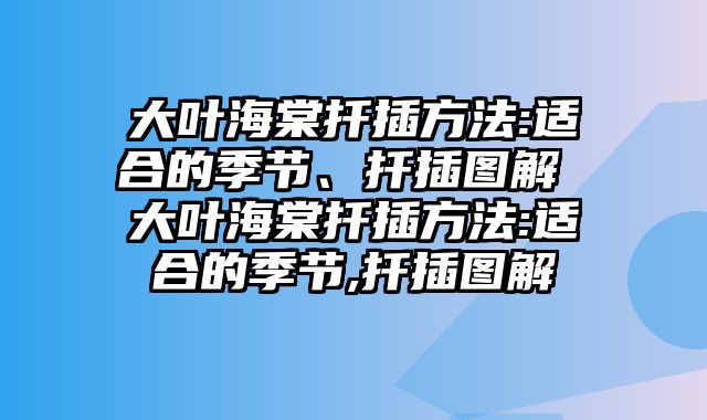 大叶海棠扦插方法:适合的季节、扦插图解 大叶海棠扦插方法:适合的季节,扦插图解