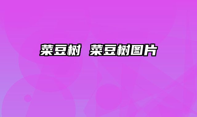 菜豆树 菜豆树图片