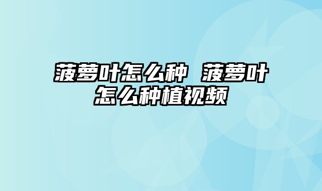 菠萝叶怎么种 菠萝叶怎么种植视频