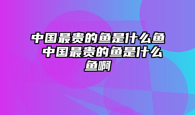 中国最贵的鱼是什么鱼 中国最贵的鱼是什么鱼啊