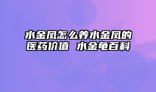 水金凤怎么养水金凤的医药价值 水金龟百科