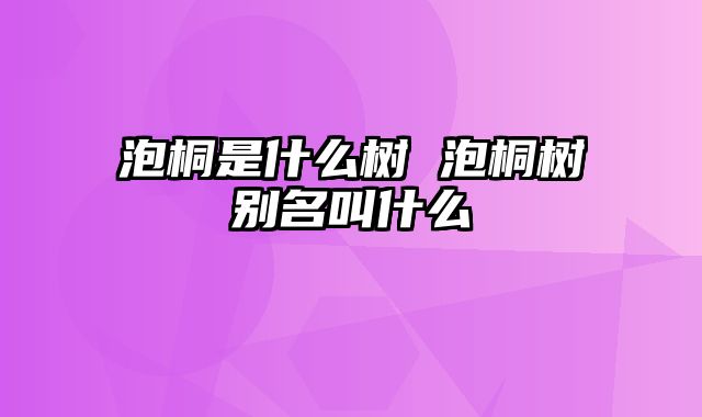 泡桐是什么树 泡桐树别名叫什么