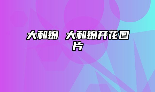 大和锦 大和锦开花图片