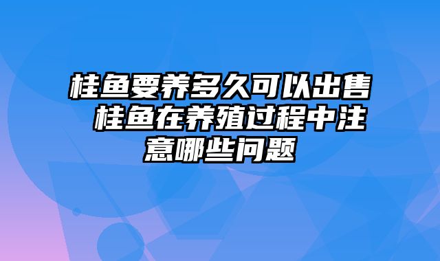 桂鱼要养多久可以出售 桂鱼在养殖过程中注意哪些问题