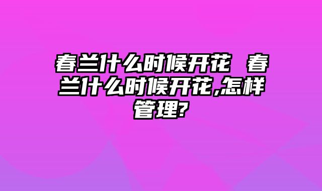 春兰什么时候开花 春兰什么时候开花,怎样管理?