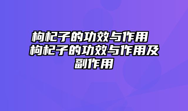 枸杞子的功效与作用 枸杞子的功效与作用及副作用