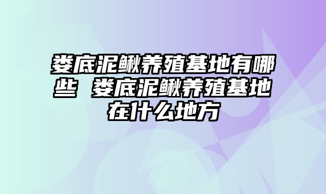 娄底泥鳅养殖基地有哪些 娄底泥鳅养殖基地在什么地方