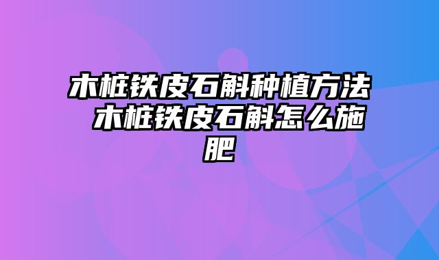 木桩铁皮石斛种植方法 木桩铁皮石斛怎么施肥