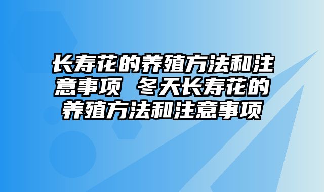 长寿花的养殖方法和注意事项 冬天长寿花的养殖方法和注意事项