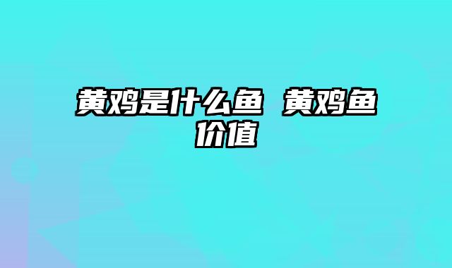 黄鸡是什么鱼 黄鸡鱼价值
