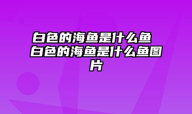 白色的海鱼是什么鱼 白色的海鱼是什么鱼图片