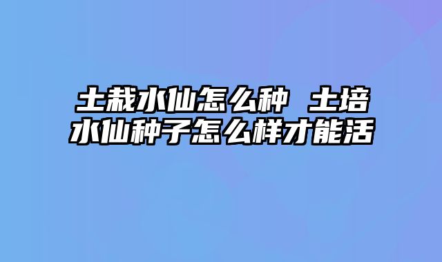 土栽水仙怎么种 土培水仙种子怎么样才能活