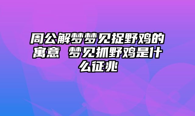 周公解梦梦见捉野鸡的寓意 梦见抓野鸡是什么征兆