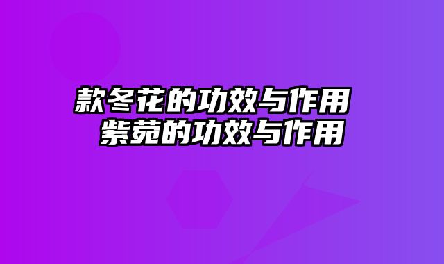 款冬花的功效与作用 紫菀的功效与作用
