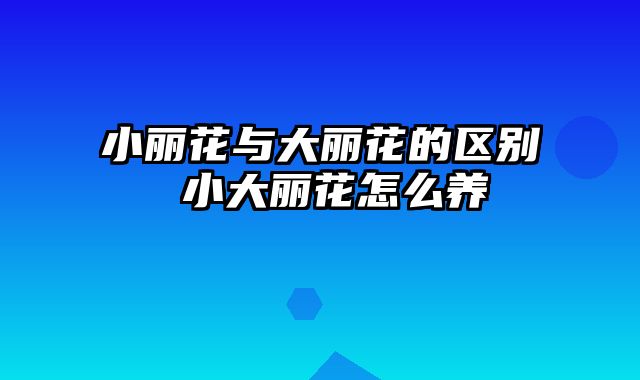 小丽花与大丽花的区别 小大丽花怎么养