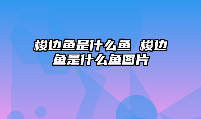 梭边鱼是什么鱼 梭边鱼是什么鱼图片