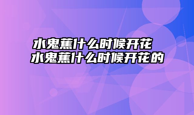 水鬼蕉什么时候开花 水鬼蕉什么时候开花的
